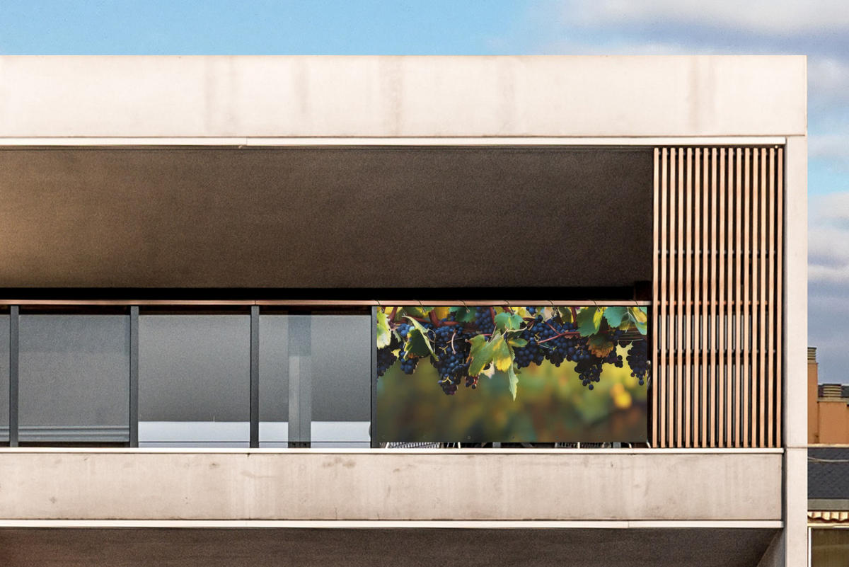 BALKON-SICHTSCHUTZ Trauben - Wein - Natur - Grün - Weinrot, Kunststoff (200/110cm) - MuchoWow