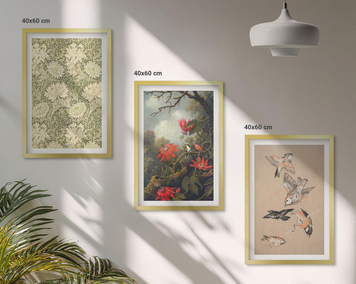 WANDBILDER 3er Set - 40x60 cm Goldrahmen - Blumen, Vögel, Natur - Goldfarben, Kunststoff (40/60cm) - ArtPrintCave