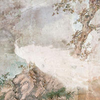 FOTOTAPETE Vogel 300 x 280 cm - Beige, Papier (300/280cm) - Sanders & Sanders