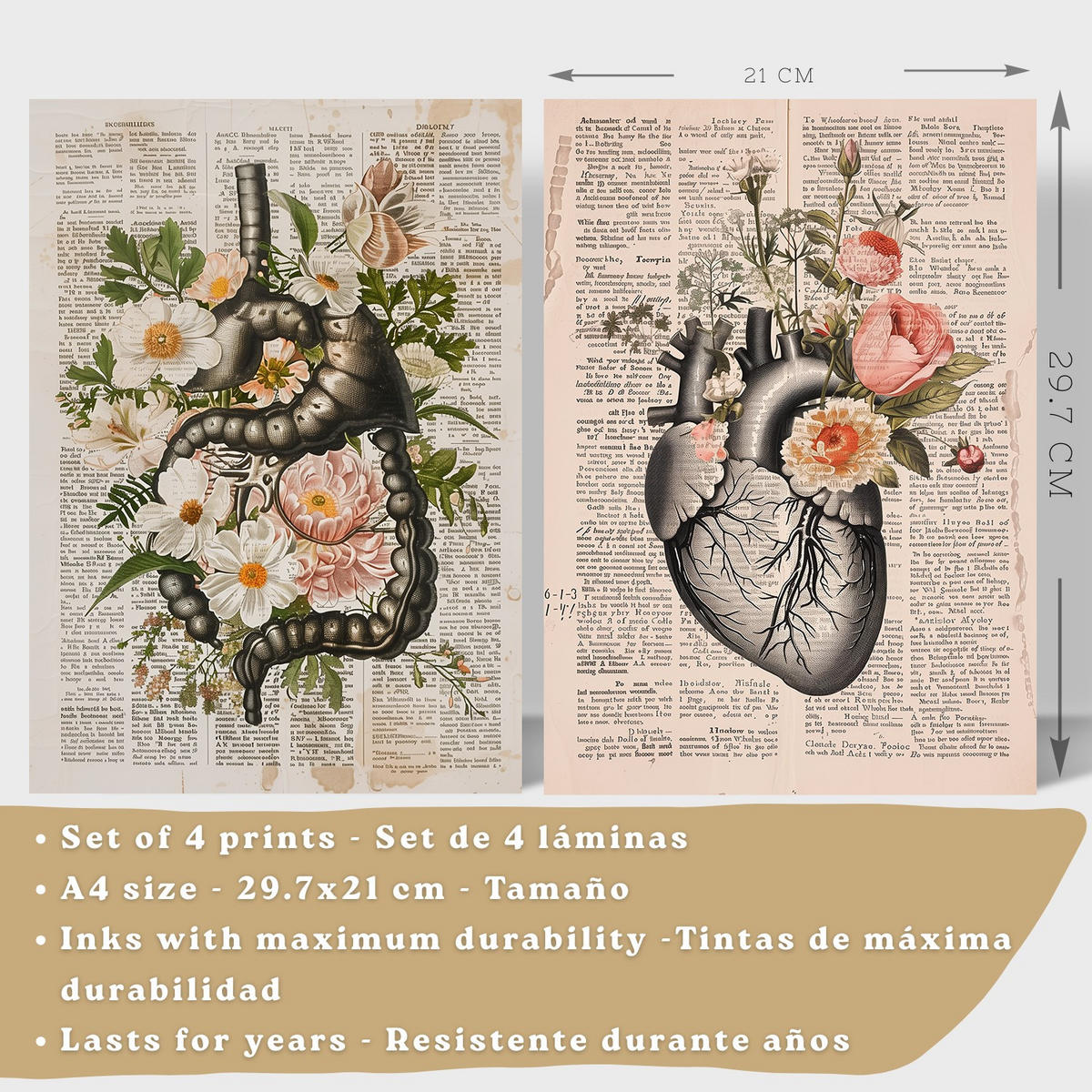 POSTER Set aus 4 Anatomie Mensch Botanische Drucke und mit Organen Herz Verdauungssystem Schädel und Becken Heimdekoration Größe Rahmenlos A4 - Klar, Papier (21/29.7/3cm) - Nacnic