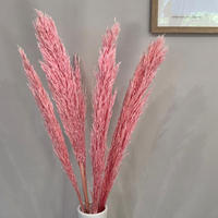 PAMPASGRAS pink - pink / 80 cm - Rosa, Naturmaterialien (80cm) - Lykke & You