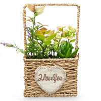 KÜNSTLICHE SUKKULENTEN Love 12/21 cm - Multicolor, Naturmaterialien (21cm) - Ibergarden