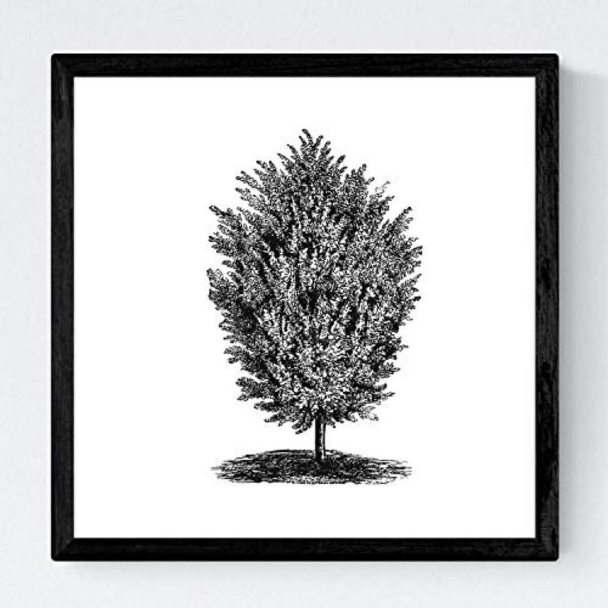 POSTER Set mit 4 Blättern der Bäume sehr fondosos, weiß 20x20cm Schwarzer Rahmen - Schwarz, Papier (20/3cm) - Nacnic