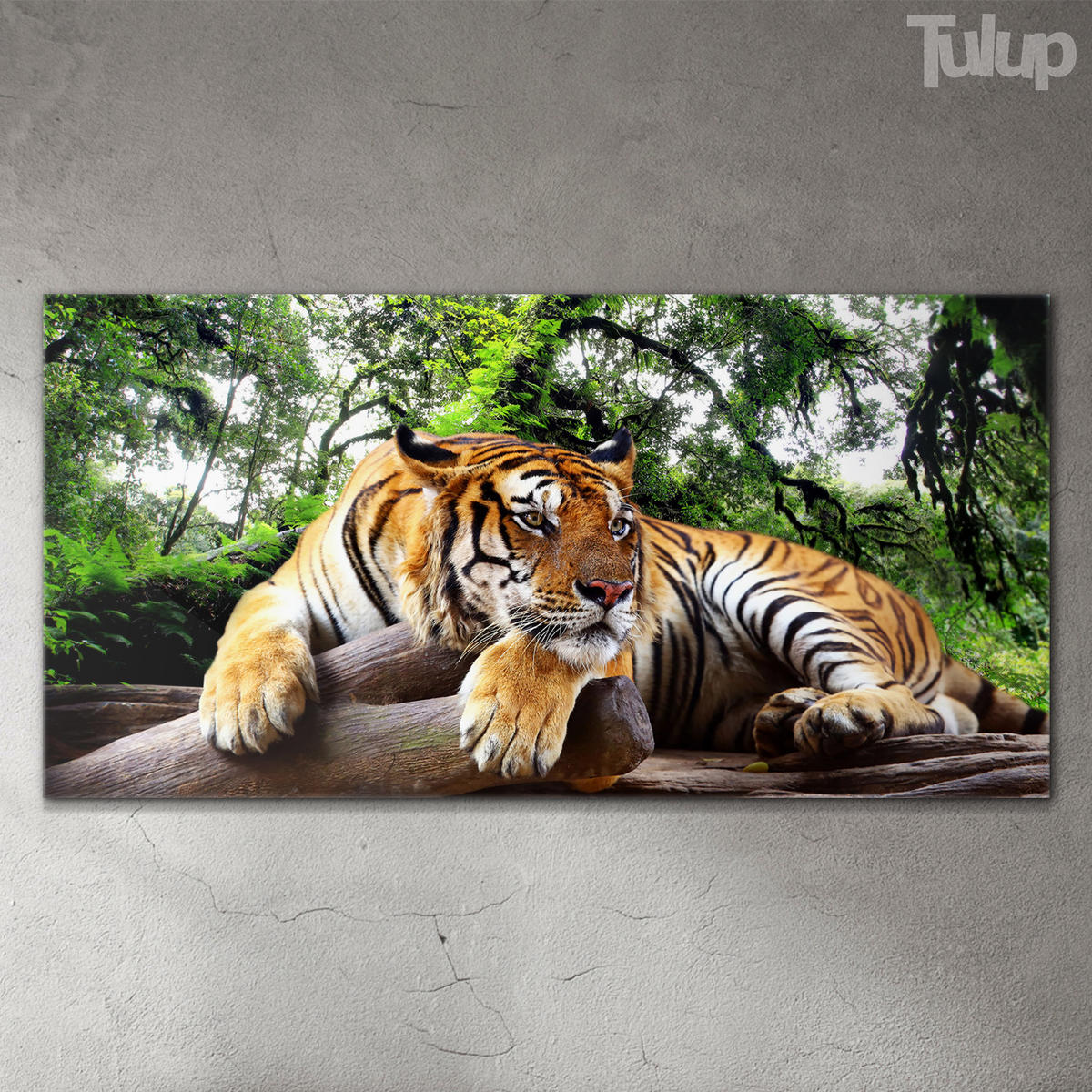GLASBILD 120x60 cm Tiger - Hellbraun, Glas (120/60cm) - TULUP