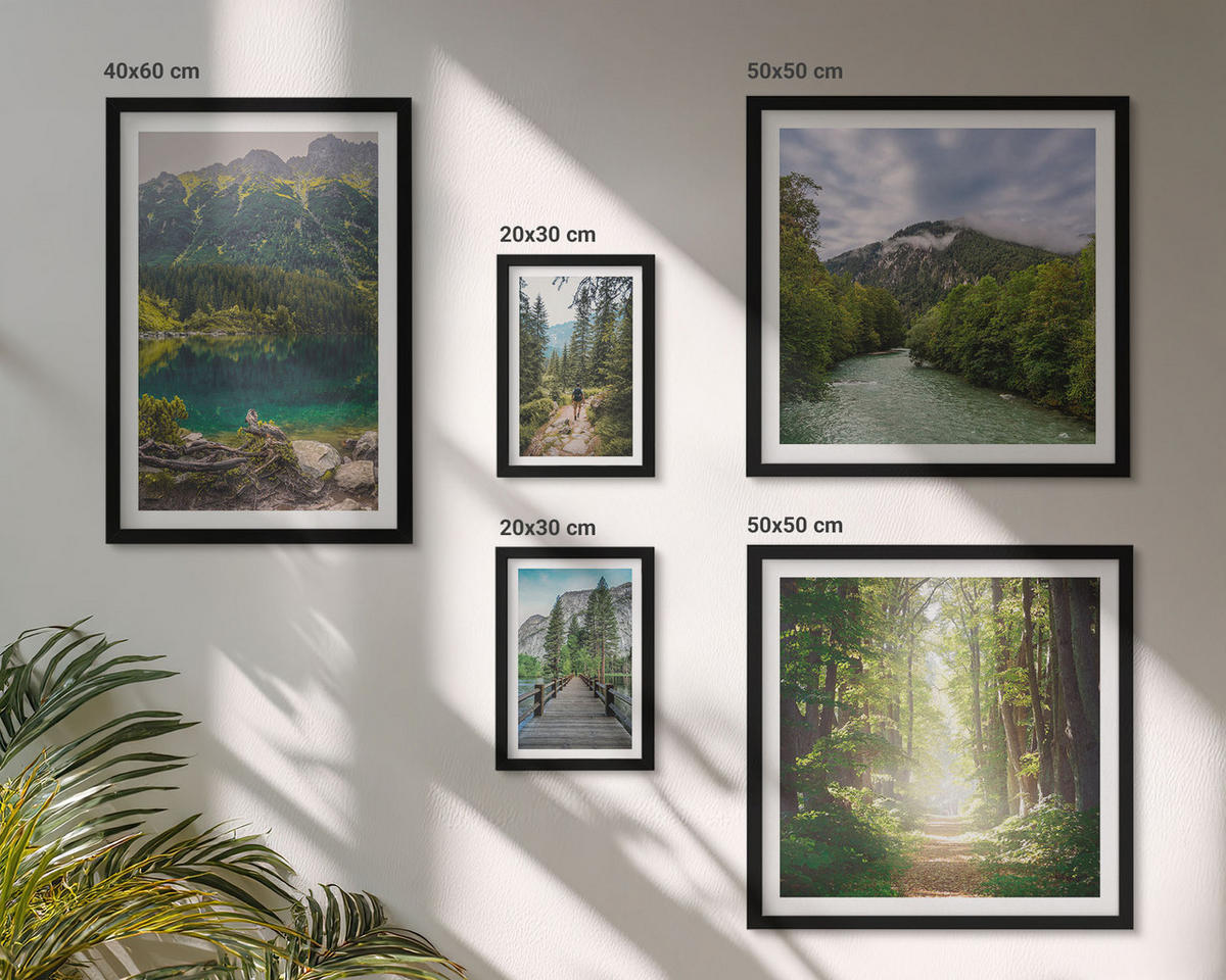 WANDBILDER 5er-Set - 50x50 cm & 20x30 cm & 40x60 cm Schwarzer Rahmen - Straße Wald Berge Hirsch Natur - Schwarz, Kunststoff (40/60cm) - ArtPrintCave