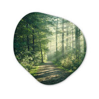 WANDBILD Wald - Weg - Sonne - Bäume - Grün - Natur Wandbild 60x60 cm - Waldgrün, Kunststoff (60/60cm) - MuchoWow