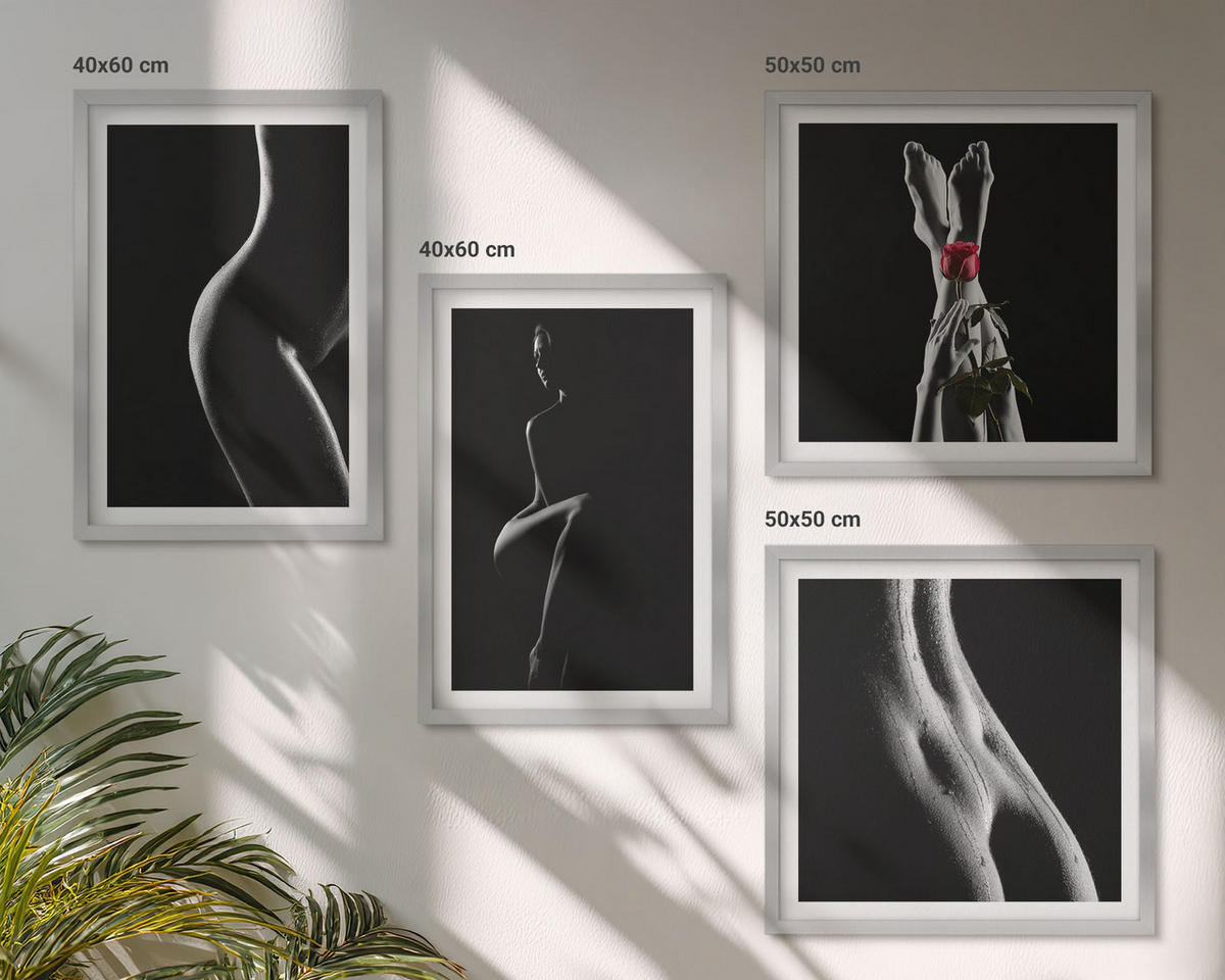 BILDER SET 4er Set - 50x50 cm & 40x60 cm Silberner Rahmen - Schwarze und weiße weibliche Formen - Silberfarben, Kunststoff (50/50cm) - TULUP