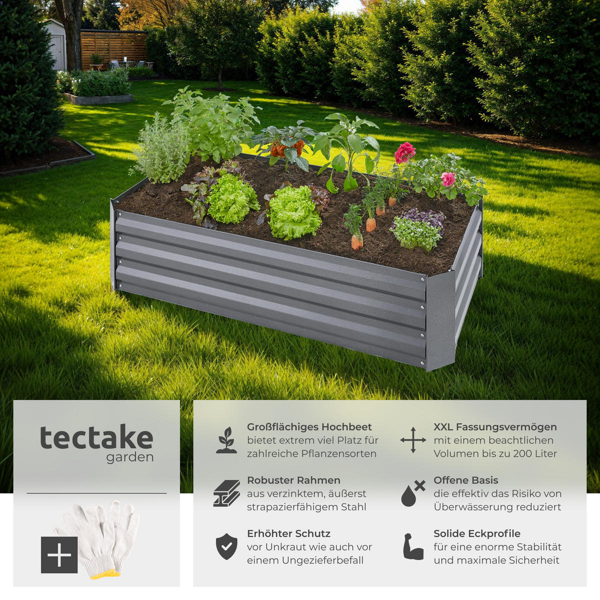 HOCHBEET Pimpinella,120 x 60 x 30 cm,grau - Grau, Metall (60/30/120cm) - tectake