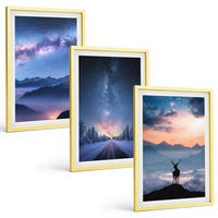 BILDER SET 3er Set - 40x60 cm Goldrahmen - Nachthimmel Berge Nebel Hirsch - Goldfarben, Kunststoff (40/60cm) - TULUP