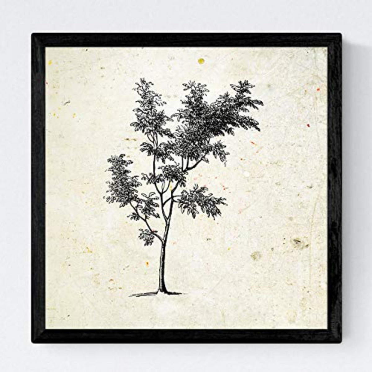 POSTER Set mit 4 Blättern der Bäume ohne und mit Blatt, 20x20cm Rahmenlos - Klar, Papier (20/3cm) - Nacnic