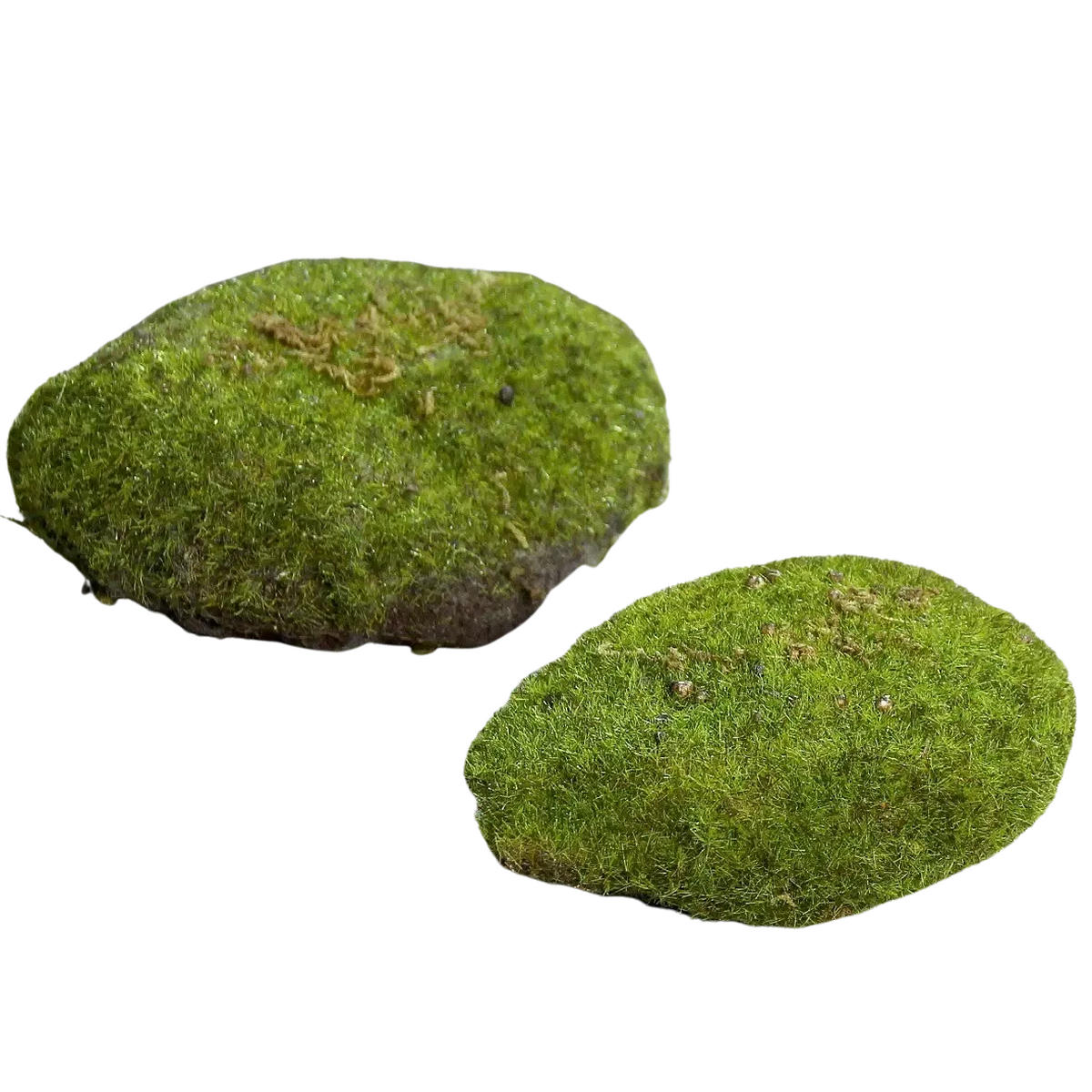 KUNSTPFLANZE Deko Moosschwamm - Hanni 1 Stück - Grün, Kunststoff (10cm) - aplanta