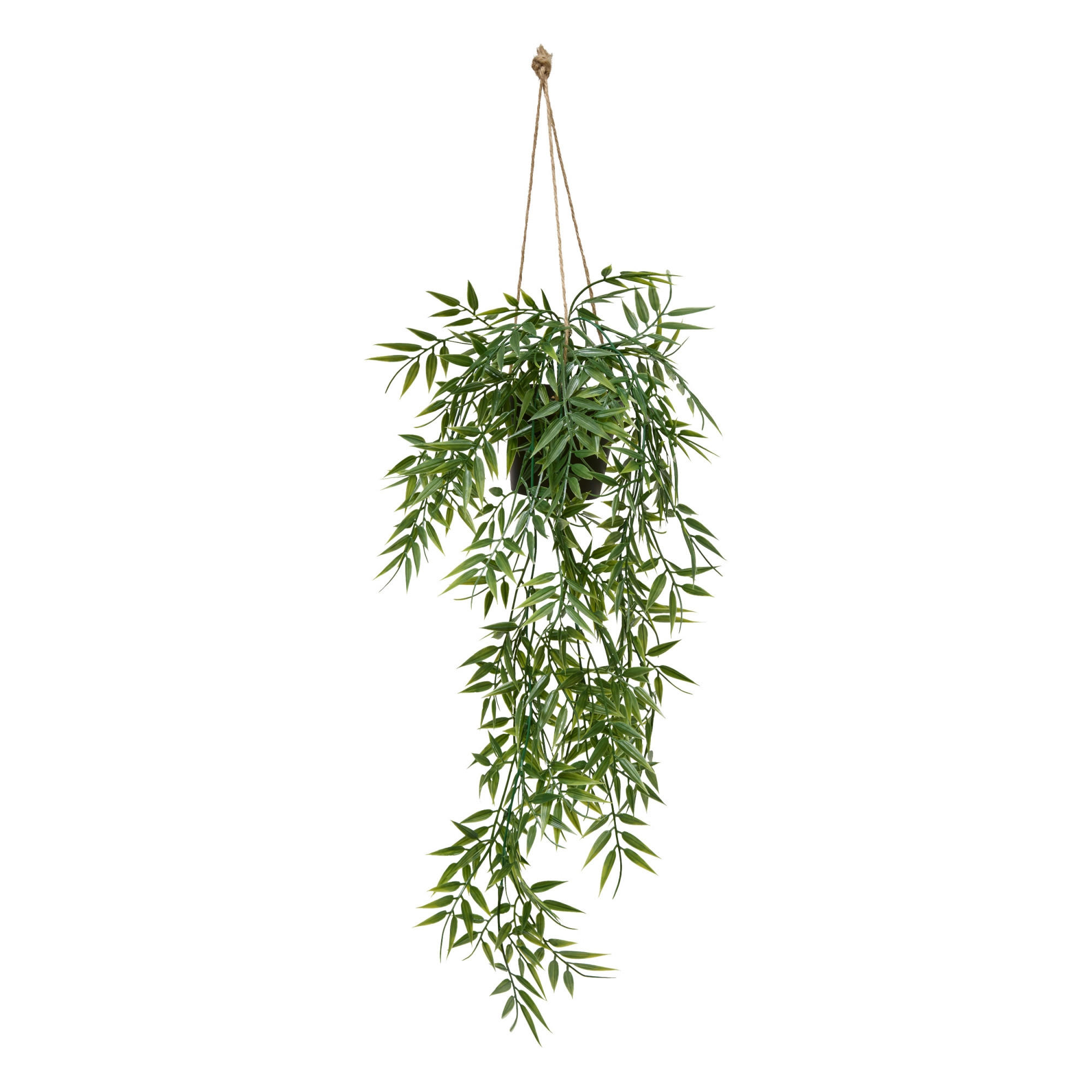 BAMBUS im Topf Liora 10/10/75 cm - Grün, Kunststoff (75cm) - Atmosphera Createur d´interieur