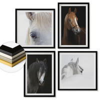 WANDBILDER 4er-Set - 50x50 cm & 40x60 cm Schwarzer Rahmen - Pferdeporträts in Schattierungen - Schwarz, Kunststoff (50/50cm) - ArtPrintCave