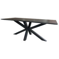 TISCH Malaga 200 x 90 cm dark grey Aluminium - Grau, Metall (200/90/76cm) - Mr. Deko