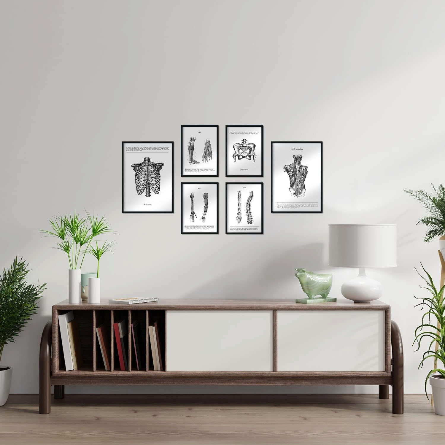POSTER Set Mit 6 Anatomie Sammlung Von Platten Größe A3 und A4 Rahmenlos - Klar, Papier (29.7/1cm) - Nacnic