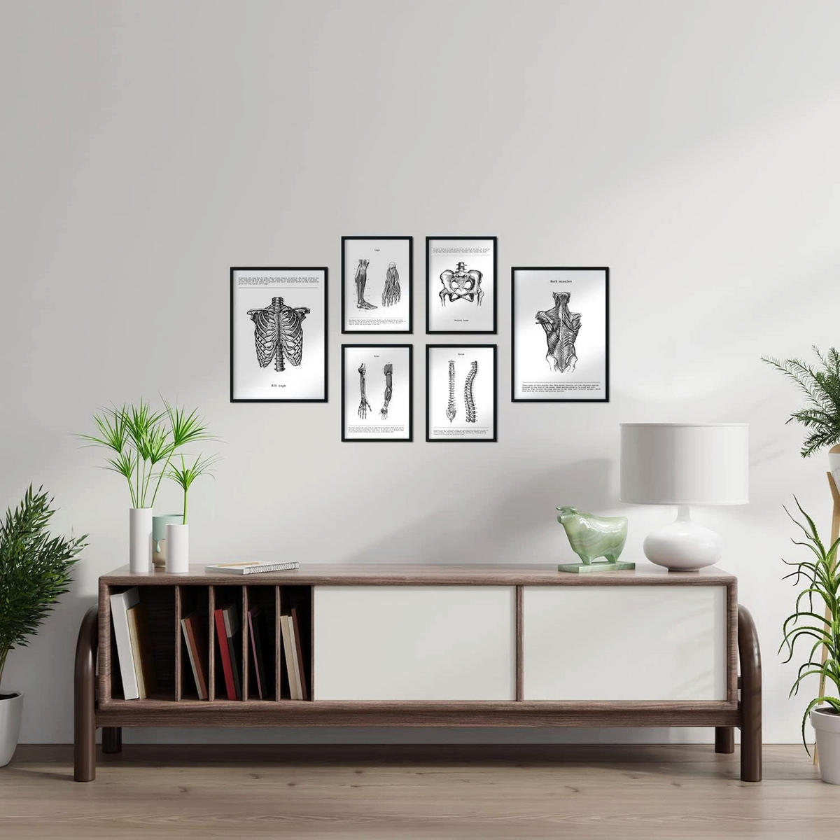 POSTER Set Mit 6 Anatomie Sammlung Von Platten Größe A3 und A4 Rahmenlos - Klar, Papier (29.7/1/42cm) - Nacnic