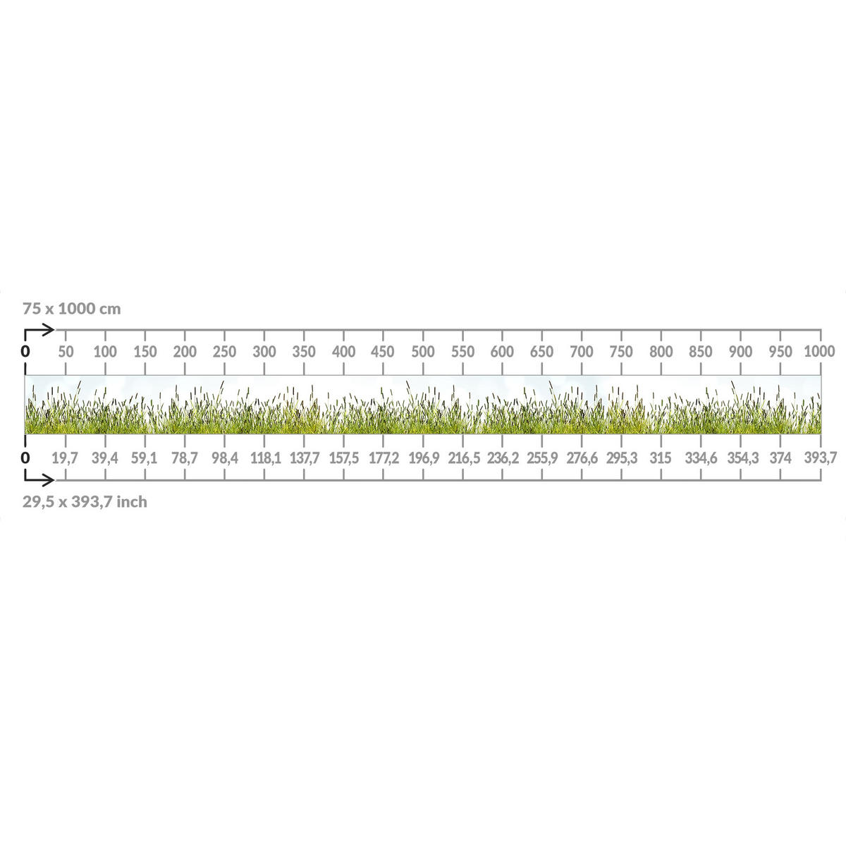 BALKON SICHTSCHUTZ Grüne Wiese 550/75 cm - Grün, Kunststoff (550/75cm) - Bilderwelten