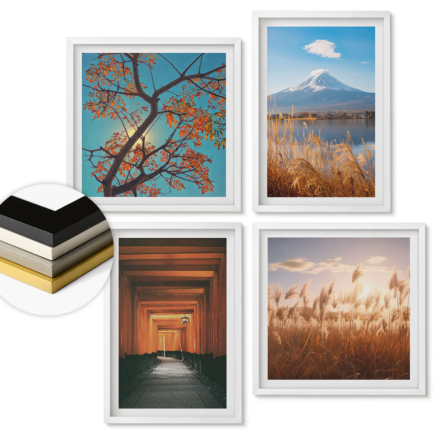 ArtPrintCave Wandbilder Weiß 50x50 cm
