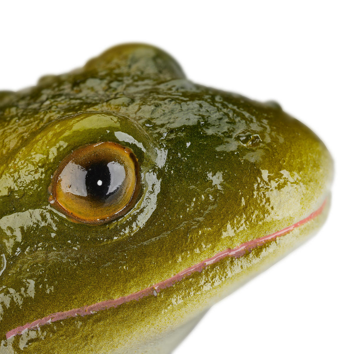 GARTENFIGUR Frosch - Dunkelgrün, Kunststoff (13.5/9/15cm) - Relaxdays