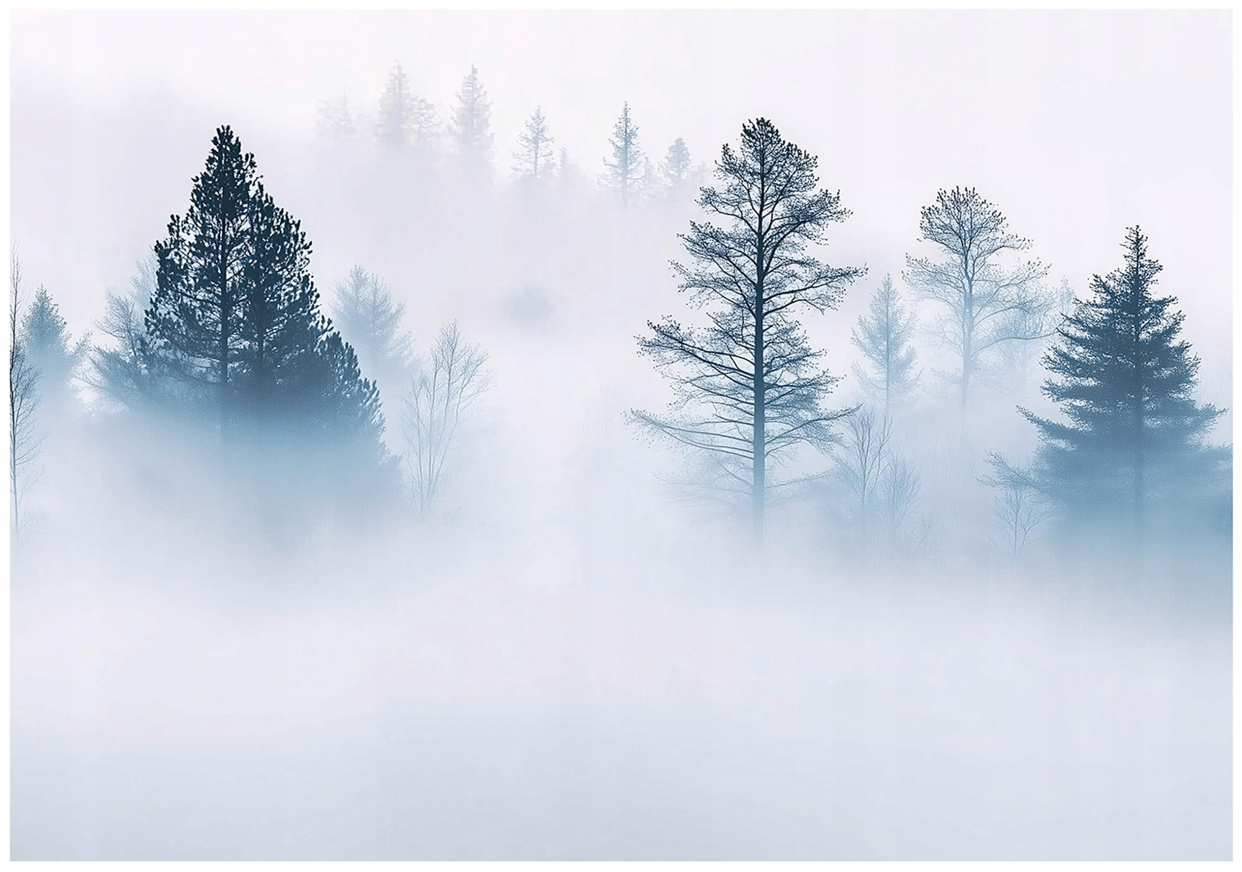 FOTOTAPETE Wald Nebel Natur Vlies Tapete Wohnzimmer 400x280 - Multicolor, Papier (400/280cm) - Wallarena