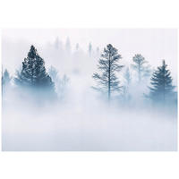 FOTOTAPETE Wald Nebel Natur Vlies Tapete Wohnzimmer 400x280 - Multicolor, Papier (400/280cm) - Wallarena