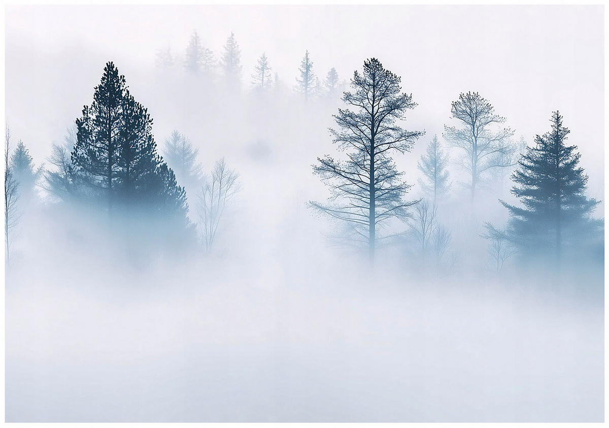 FOTOTAPETE Wald Nebel Natur Vlies Tapete Wohnzimmer 400x280 - Multicolor, Papier (400/280cm) - Wallarena