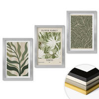 WANDBILDER 3er Set - 20x30 cm Silberner Rahmen - Pflanzenmuster, Boho-Dekorationen - Silberfarben, Kunststoff (20/30cm) - ArtPrintCave