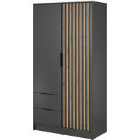 DREHTÜRENSCHRANK NELIANA 105/200/51 cm 2-türig Graphitfarben - Graphitfarben, Holzwerkstoff (105/200/51cm) - MASSENO
