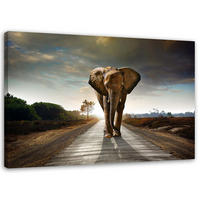 WANDBILD Wandernder Elefant - Braun, Textil (60/40cm) - Feeby