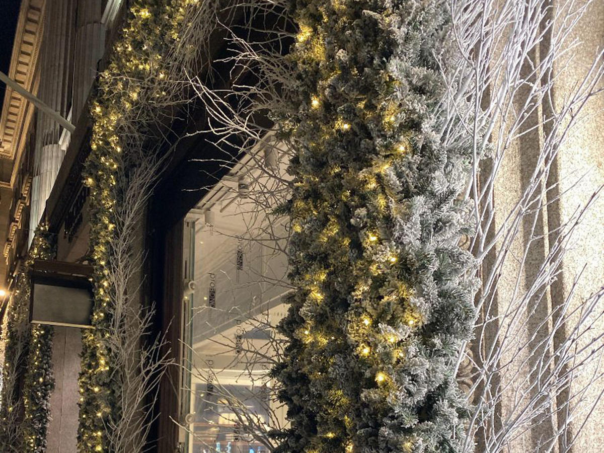 WEIHNACHTSGIRLANDE LED DELUXE VIOLA, 270 cm, schneebedeckt, 2D, 70 warmweiße LED, Netzbetrieb, mit Drahtenden - Weiß, Kunststoff (270cm) - LAALU