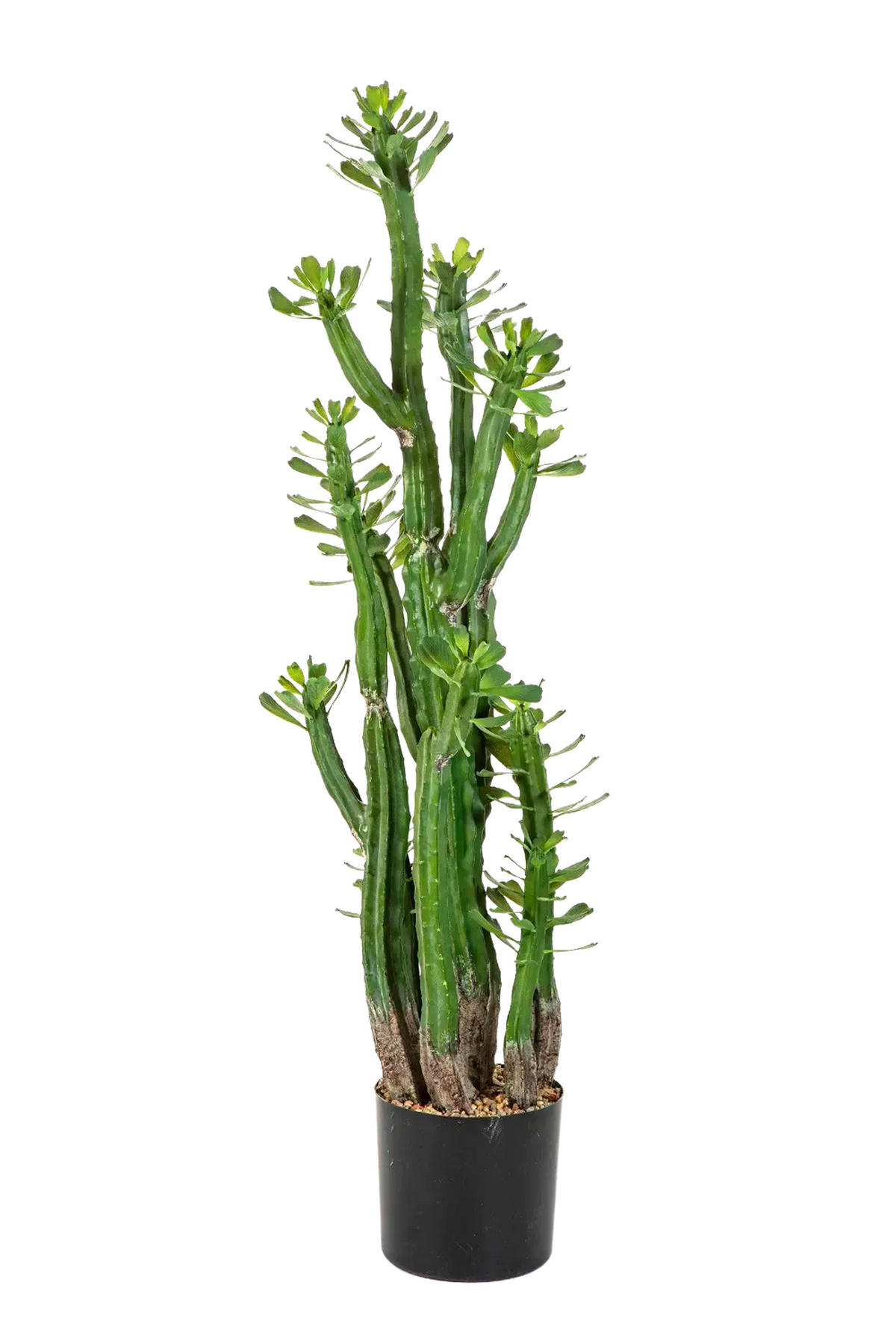 KUNSTPFLANZE Künstlicher Kaktus - Hermann 118 cm - Grün, Kunststoff (118cm) - aplanta