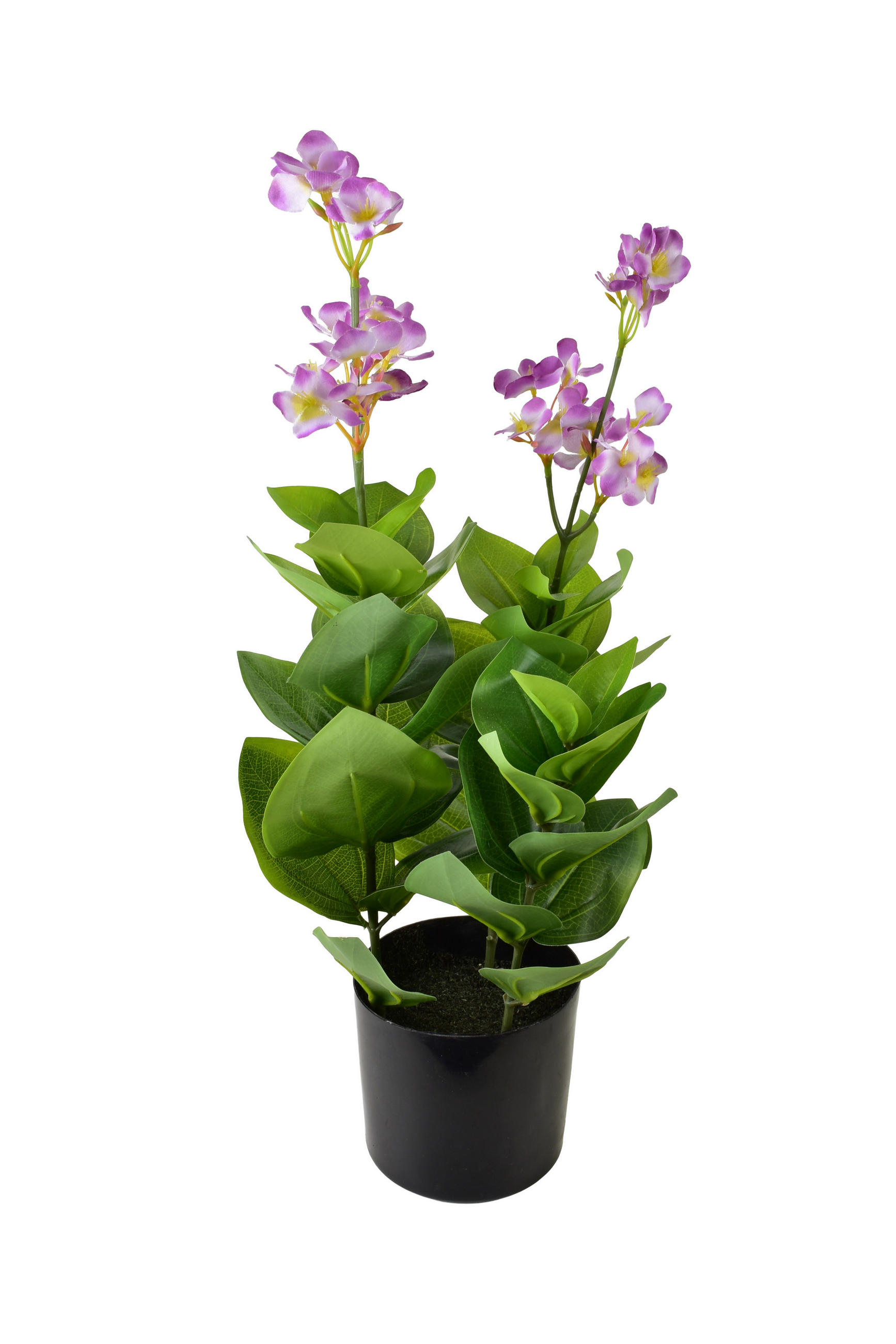 KUNSTBLUME Viridis grün 12.5/12.5/57 cm Kunststoff - Grün, Kunststoff (57cm) - Mondex