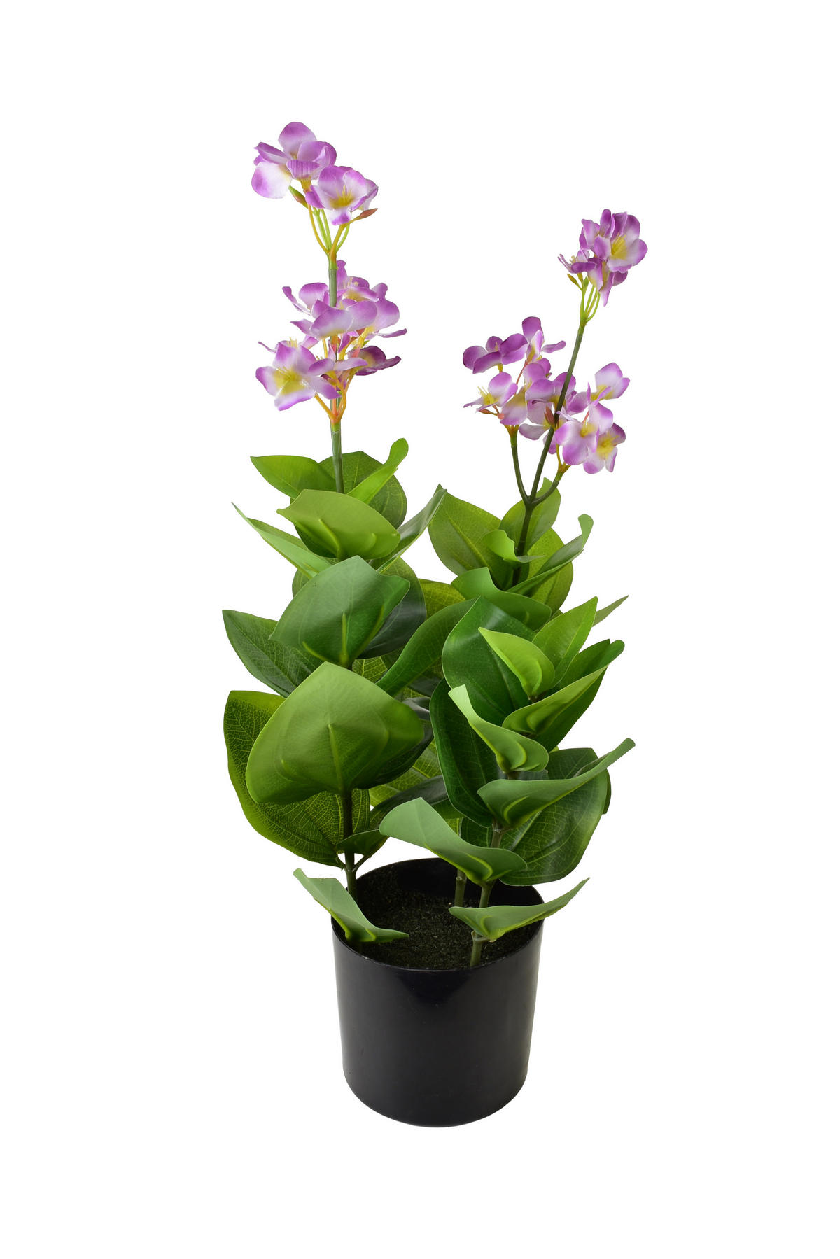 KUNSTBLUME Viridis grün 12.5/12.5/57 cm Kunststoff - Grün, Kunststoff (57cm) - Mondex