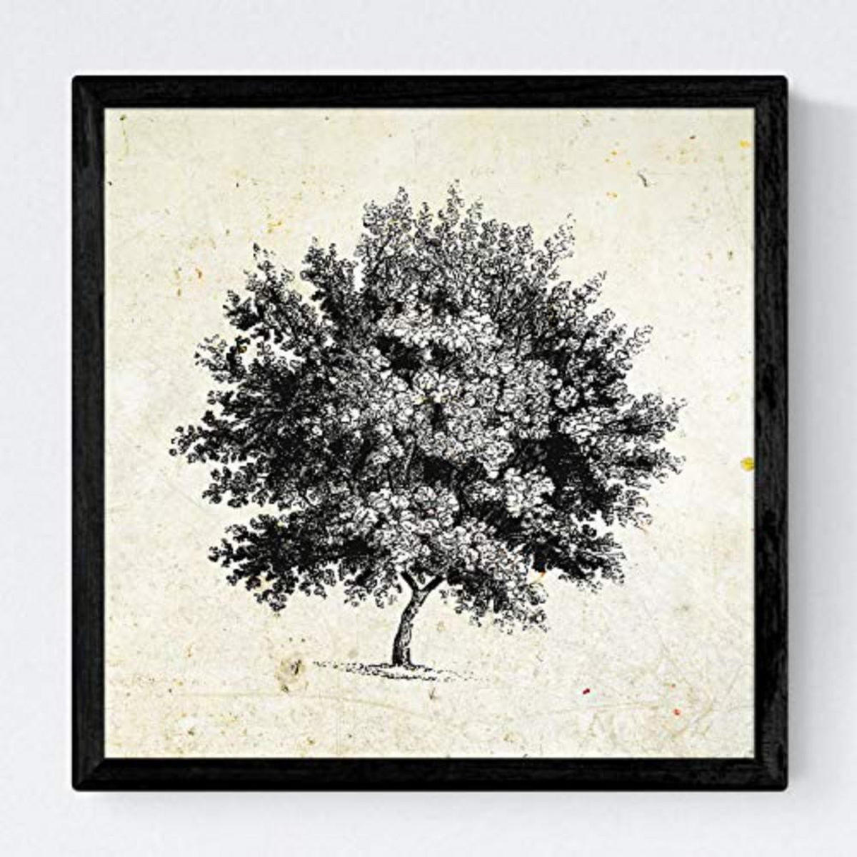 POSTER Set mit 4 Blättern der Caduda und immergrüne Jahrgang Hintergrund 20x20cm Rahmenlos - Klar, Papier (20/3cm) - Nacnic