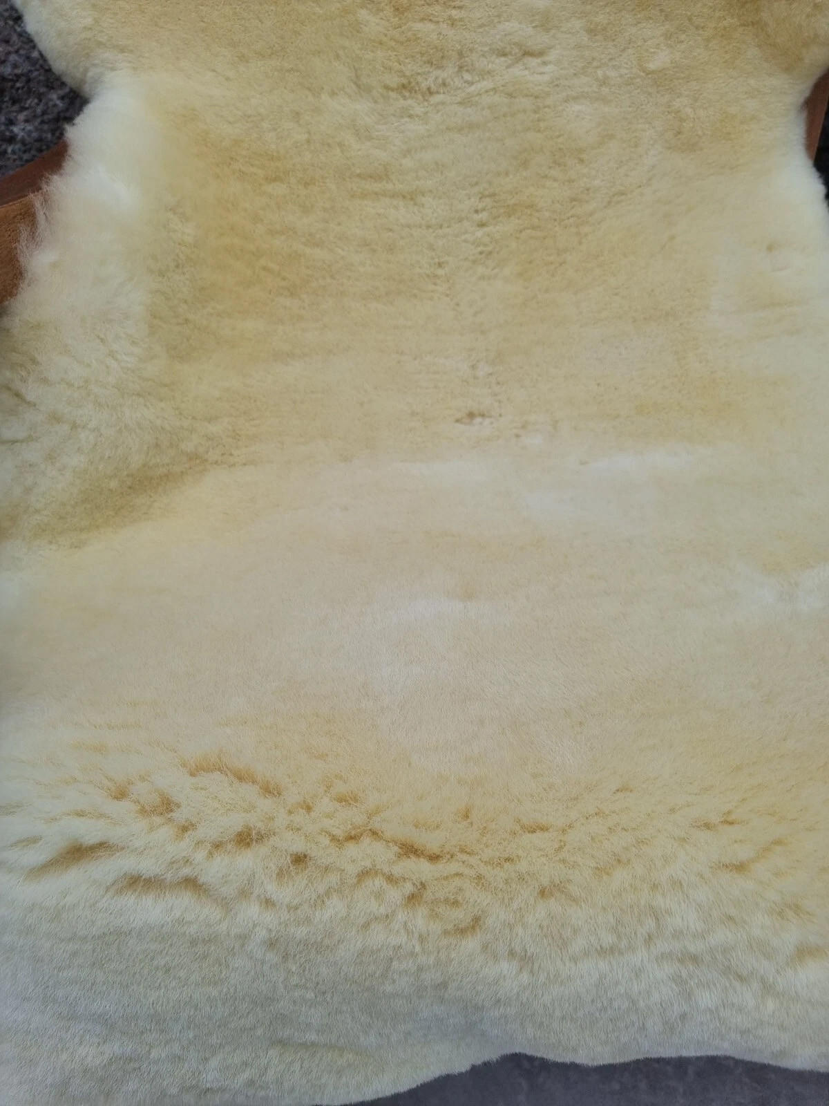 SCHAFFELL Premium Merino Lammfell Natur Medizinisch gegerbt geschoren ca. 115 cm - Gelb, Fell (65/115cm) - Provellus