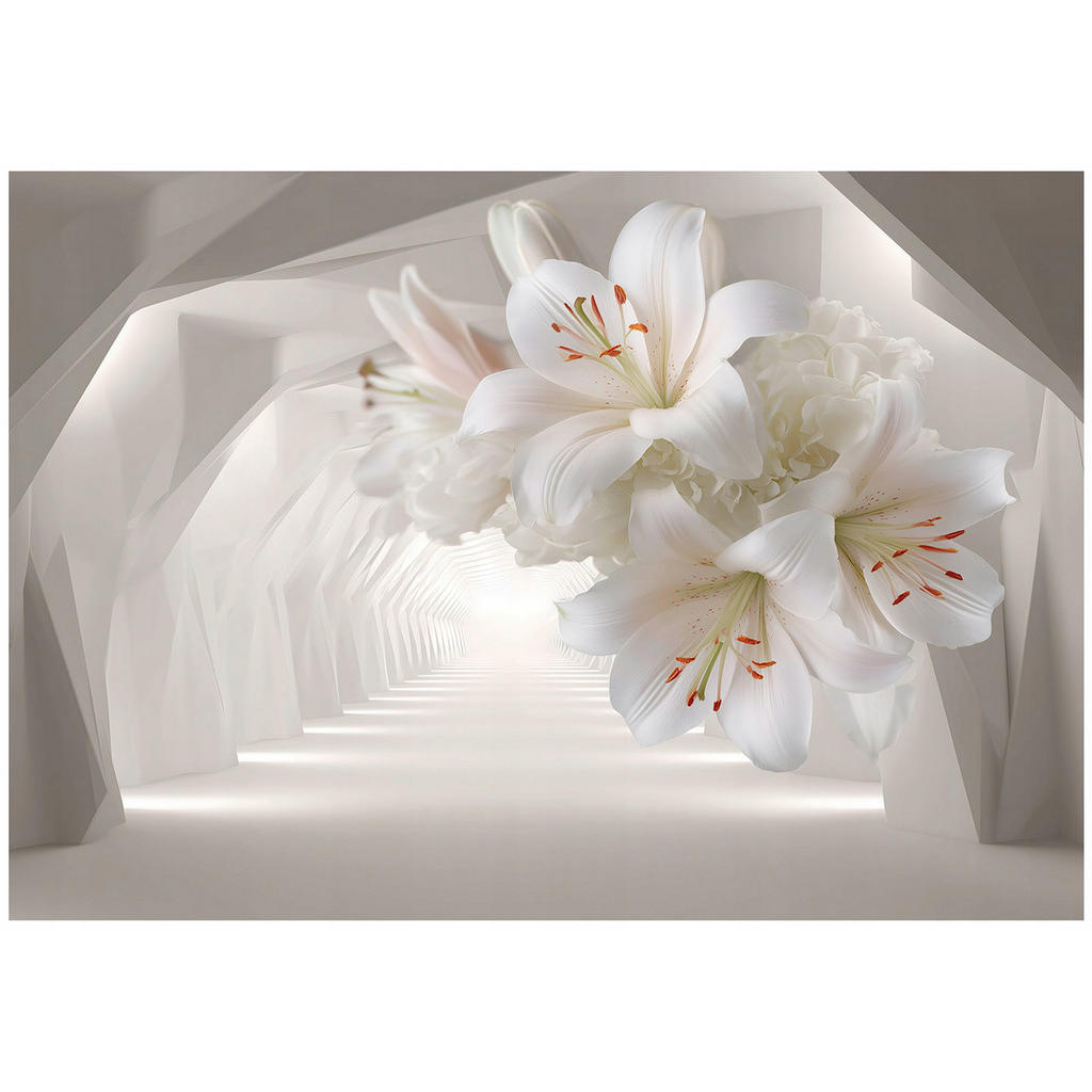 Wallarena 3D abstraktní fototapeta béžová 200x140 cm