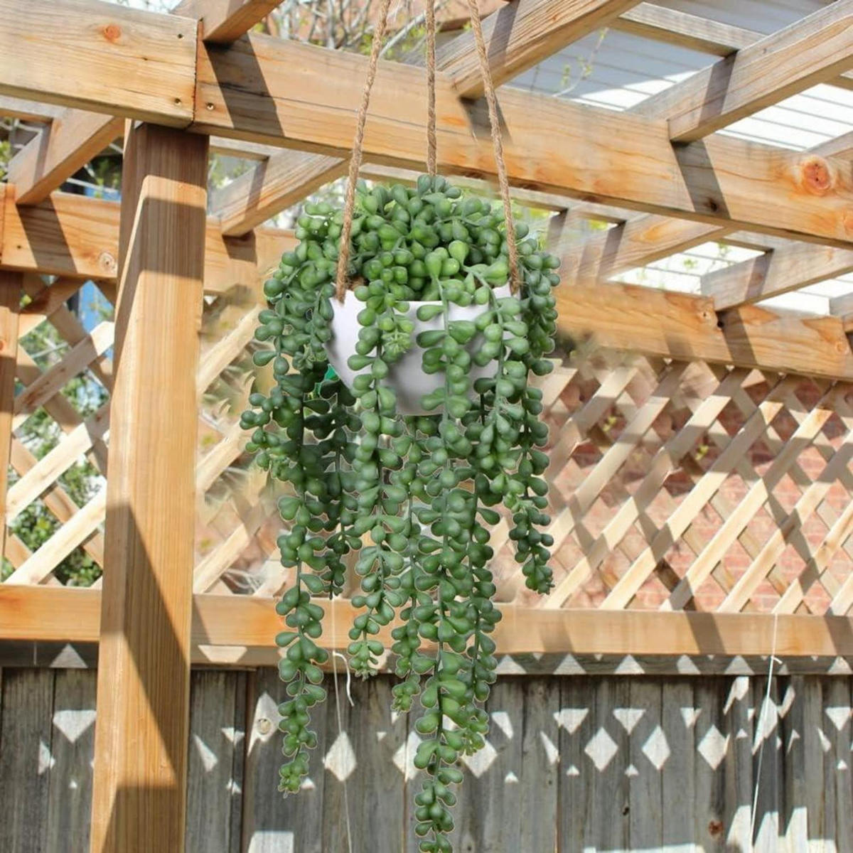 HÄNGEPFLANZE Senecio künstlich in Hängeampel 35.5 cm - Grün, Kunststoff (35cm)