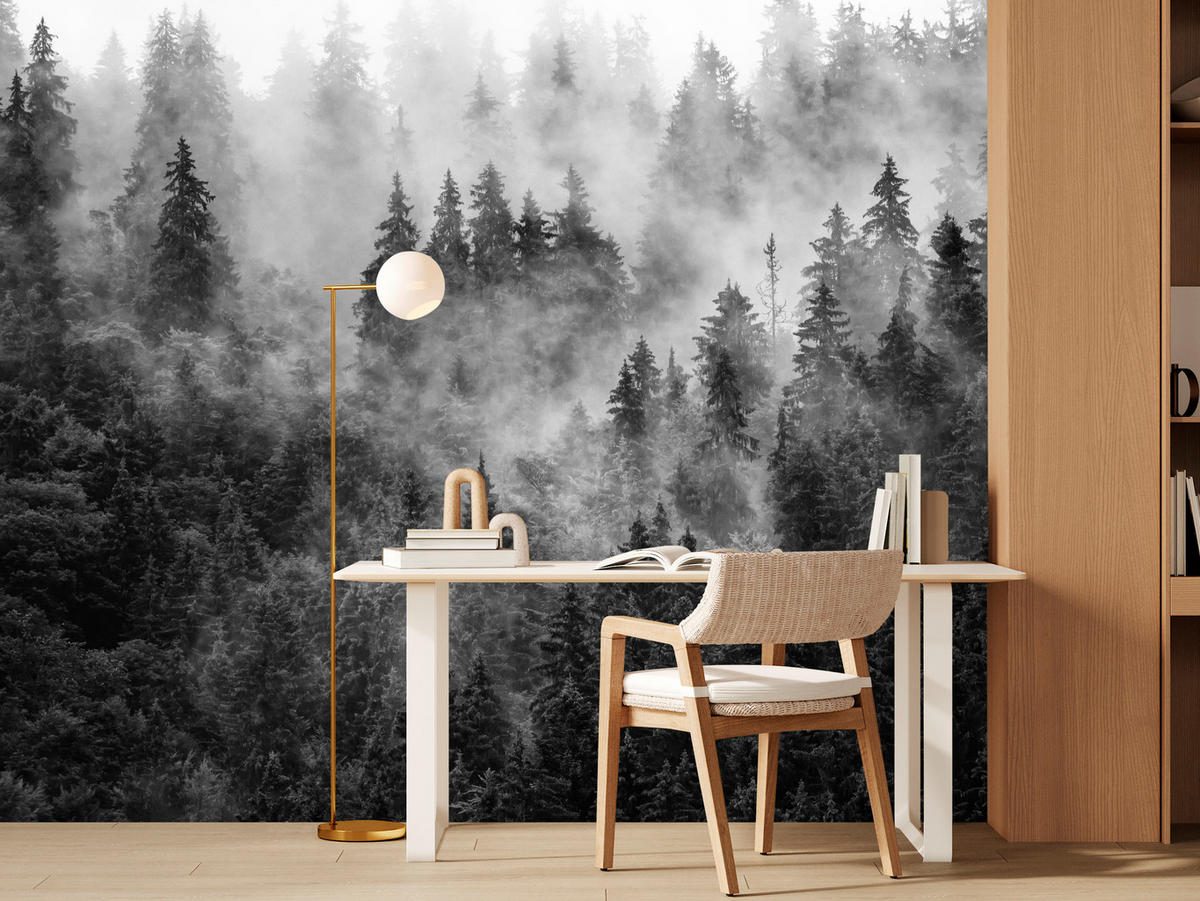 FOTOTAPETE für Wohnzimmer Dichter Nebel Forst Bäume 500x350 - Schwarz/Weiß, Papier (500/350cm) - Muralo