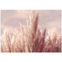 FOTOTAPETE Gras Boho Natur 200x140 - Multicolor, Papier (200/140cm) - Wallarena