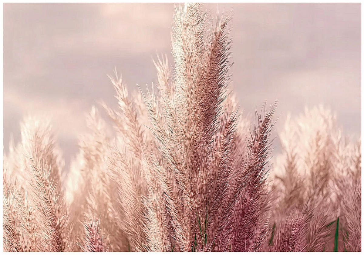 FOTOTAPETE Gras Boho Natur 200x140 - Multicolor, Papier (200/140cm) - Wallarena