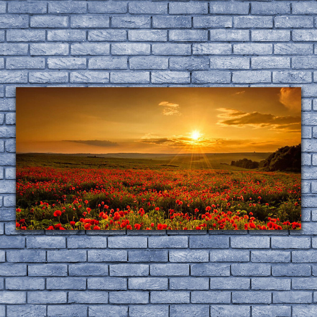 LEINWANDBILD 140x70 cm Mohnfeld - Gelb/Orange, Textil (140/4cm) - TULUP
