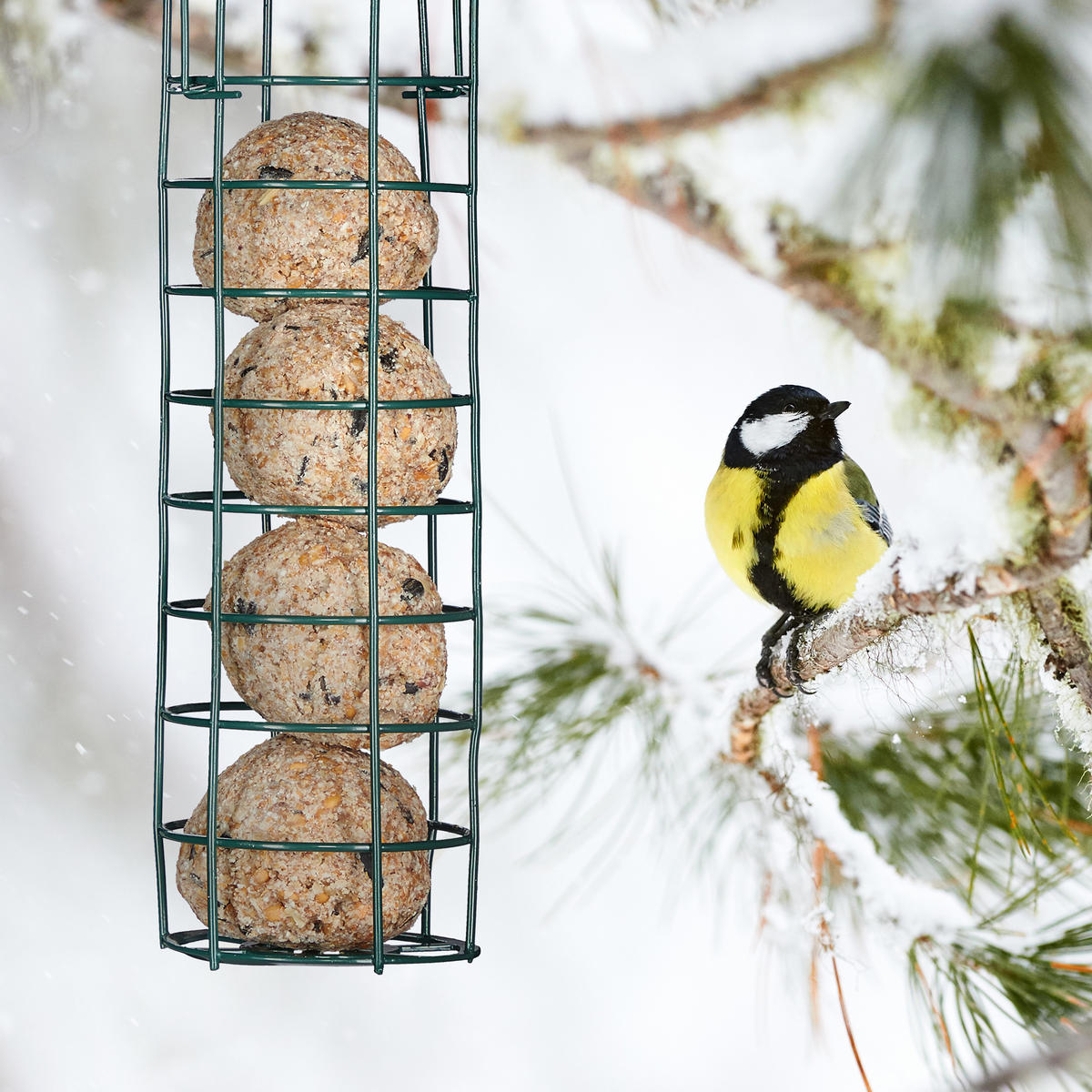 2XMEISENKNÖDELHALTER - Dunkelgrün, Kunststoff/Metall (8.5/31/8.5cm) - Relaxdays