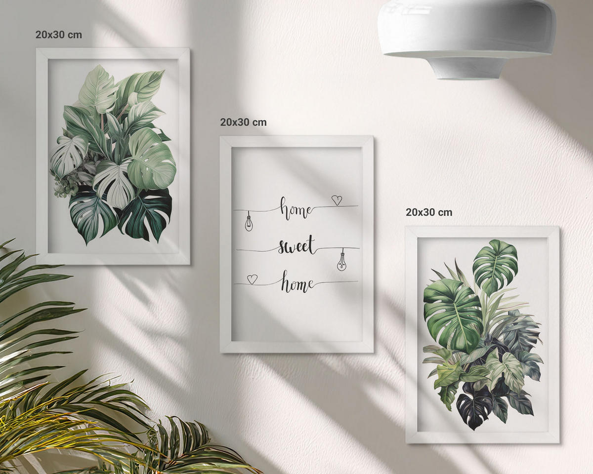 BILDER SET 3er Set - 20x30 cm Weißer Rahmen - Aquarell-Monstera-Blätter - Weiß, Kunststoff (20/30cm) - TULUP