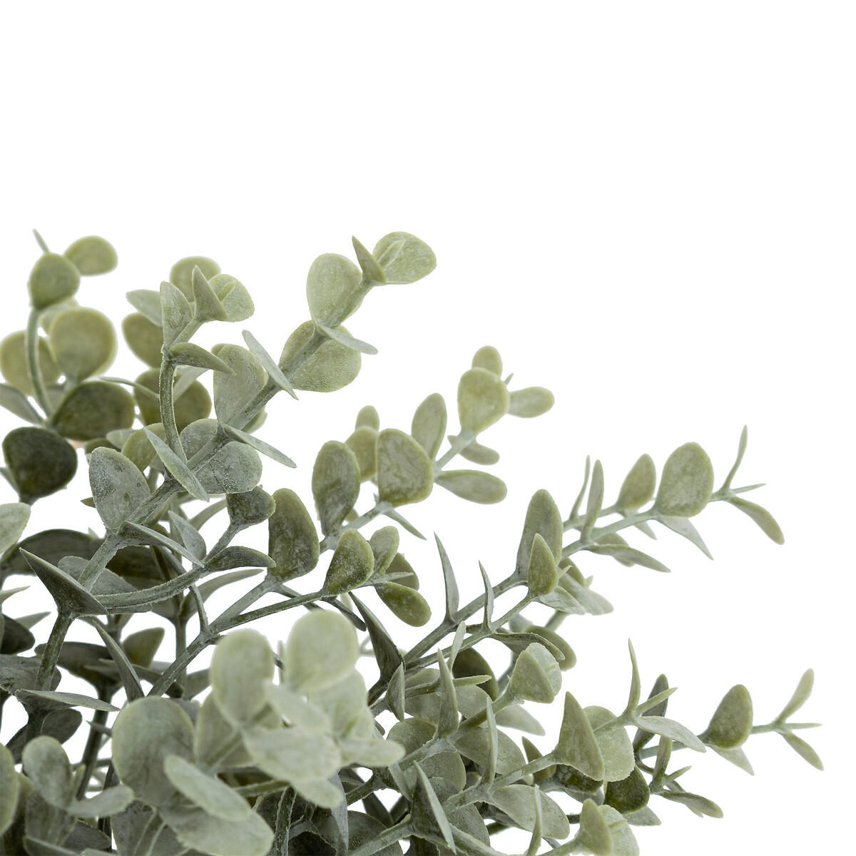 KÜNSTLICHER EUKALYPTUS James 30 cm - Grün, Kunststoff (30cm) - Atmosphera Createur d´interieur