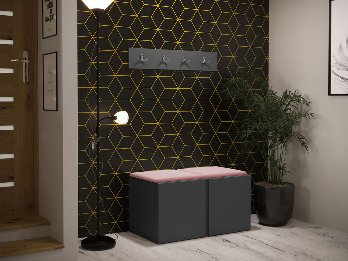 GARDEROBEN-SET Orion VI - Graphitfarben/Rosa, Holzwerkstoff/Kunststoff (84/42/46cm) - MIRJAN24