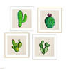 POSTER Set Mit 4 Kaktus 15X15cm Rahmenlos - Klar, Papier (15/3cm) - Nacnic