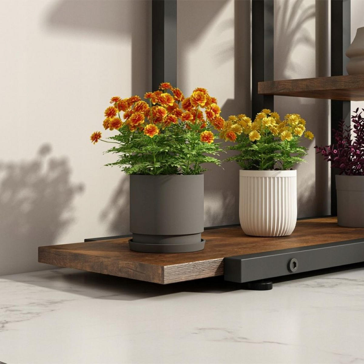 BLUMENSTÄNDER, braun 60/24/113 cm - Braun, Holzwerkstoff (60/113/24cm)