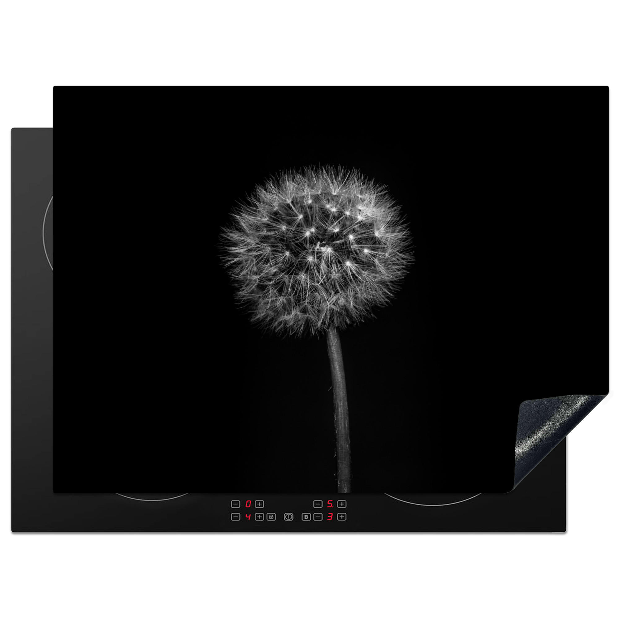 HERDABDECKPLATTE Löwenzahn - Schwarz - Floral - Botanisch 70x52 cm - Grau, Kunststoff (70/0.2/52cm) - MuchoWow