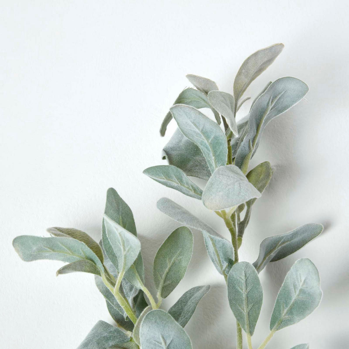 DEKOZWEIG Eselsohr, 70 cm - Grün, Kunststoff (70cm) - Homescapes