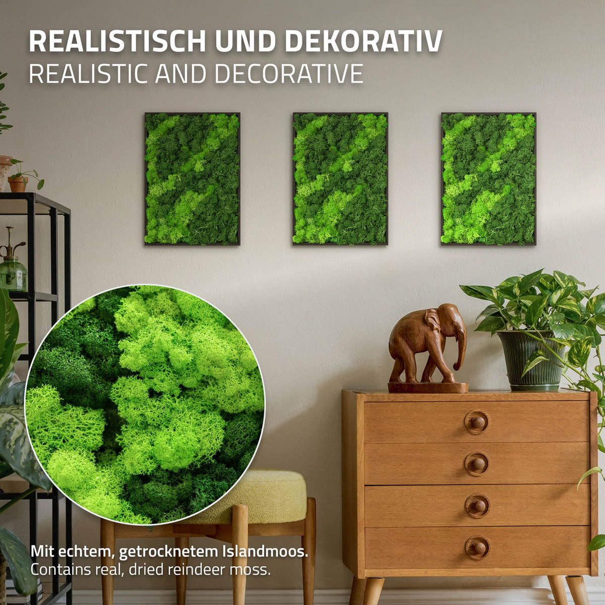 MOOSBILD Rechteck 38 x 27 cm Mooswand Indoor mit Echtem Islandmoos und Holzrahmen Grün Pflegefrei - Hellgrün, Naturmaterialien (27/38/3.5cm) - ECD-Germany